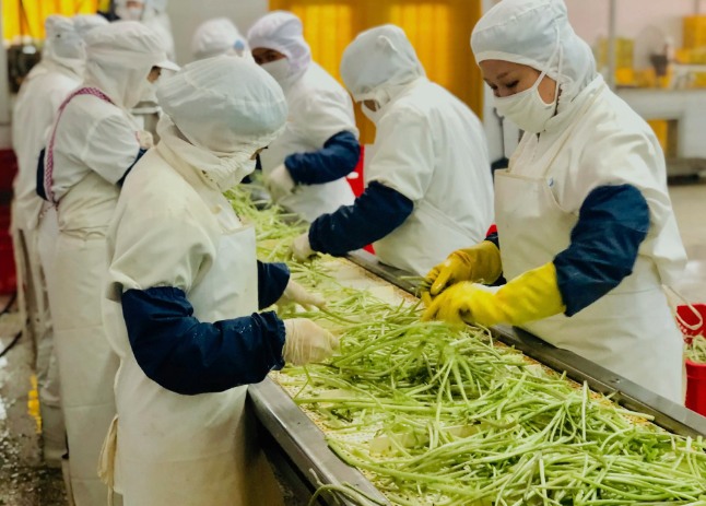 三種食品污水處理設(shè)備工藝流程，看看哪種適合您？
